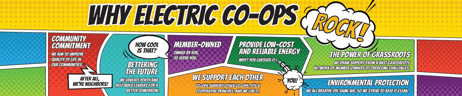Why Co-ops Rock Graphic