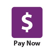 Pay Now